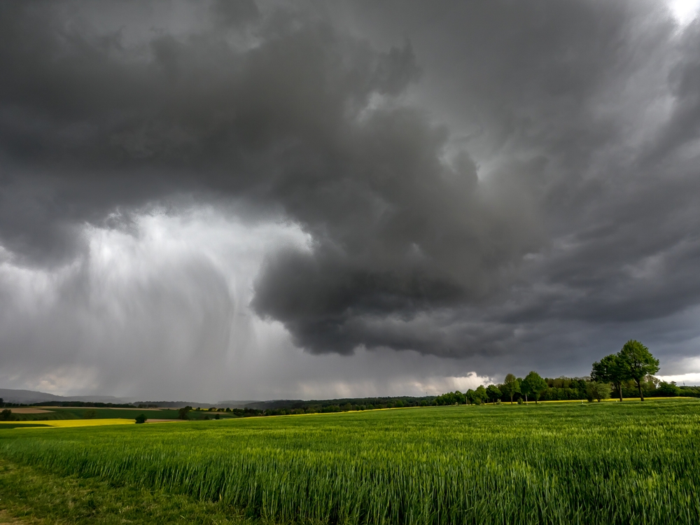 Landbouwers kunnen voortaan verliezen door slechte weer doorrekenen op winsten uit verleden