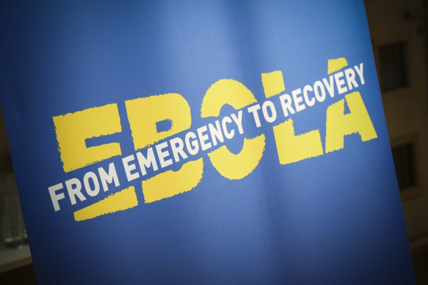 Ebola: from Emergency to Recovery