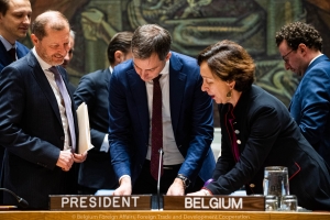 United Nations Security Council - February 2020