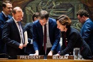 Conseil de sécurité des Nations Unies - février 2020