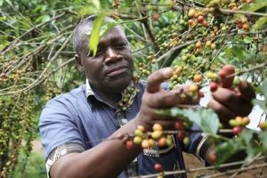 Une ONG agricole burundaise lauréate du Prix Roi Baudouin pour le Développement en Afrique