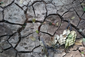 La Coopération belge au Développement alloue cette année 25 millions d'euros pour la lutte contre le changement climatique dans les pays les moins avancés