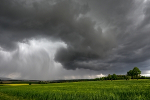 Les agriculteurs pourront désormais imputer les pertes causées par une mauvaise météo sur les bénéfices antérieurs